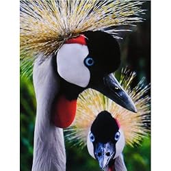 Springbok Crowned Cranes 500 Piece Jigsaw Puzzle