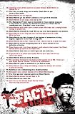 Chuck Norris Facts (List #2) Art Poster Print - 24 X 36