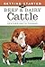 Getting Started with Beef & Dairy Cattle