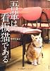 吾輩は看板猫である