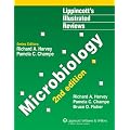 Microbiology (Lippincott's Illustrated Reviews)