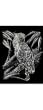 Silver Foil Engraving Art Cockatoo