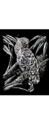 Silver Foil Engraving Art Cockatoo