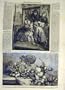 1859 French Peasants Child Calderon Indian Fruit Java