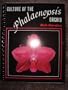 Culture of the Phalaenopsis Orchid