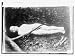 Photo (XL): Cardiff Giant