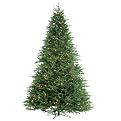 Utah Frasier Tree Green with Multi Lights