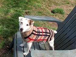 Tan Plaid Handmade Wool Designer Dog Sweater-Size XXS
