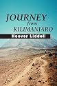 Journey from Kilimanjaro