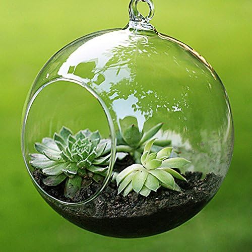 Fashion Transparent Clear Glass Round Terrarium Flower Plant Stand Hanging Vase Hydroponic Home Office Wedding Garden Decor F1