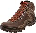 ECCO Men's Dhaka Mid GTX Hiking Boot