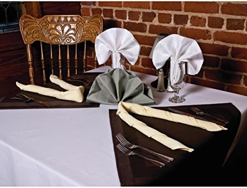 Satin Band Beauti-Damask Napkin 20x20" White Case Of 72