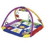 Baby Einstein Play Gym