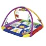 Baby Einstein Play Gym