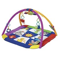Baby Einstein Play Gym