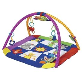 Baby Einstein Play Gym