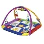 Baby Einstein Play Gym