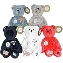 2000 State Quarter Bear Set of 5 - Maryland, Massachusetts, New Hampshire, South Carolina and Virginia
