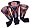 Auburn Tigers