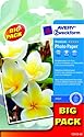 Avery Zweckform BIG PACK Photopapier für Inkjet-Drucker im 
Endformat 10x15 2x30 Blatt 60 Blatt weiss hochglänzend 270 g/m²