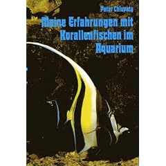 Meine Erfahrungen mit Korallenfischen im Aquarium