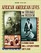 African American Stories American Lives: Vol 1