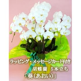 �Ӓ��� �� �J�X �җ� ��� �Ď� �В��A�C�̂��j���ɁA5�{�������i�B