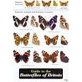 Guide to the Butterflies of Britain (Field Studies Council Occasional Publications)