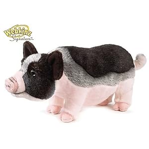 pig webkinz