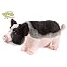 Webkinz Virtual Pet Plush - Signature Series - POT BELLIED PIG (12 inch)