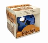 Petmate Ball A Bout Interactive Cat Toy