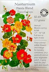Nasturtium Fiesta Blend Certified Organic Seeds 15 Seeds