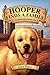 Hooper Finds a Family: A Hurricane Katrina Dog's Survival Tale