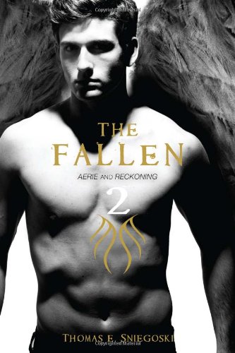 the fallen 2 aerie and reckoning