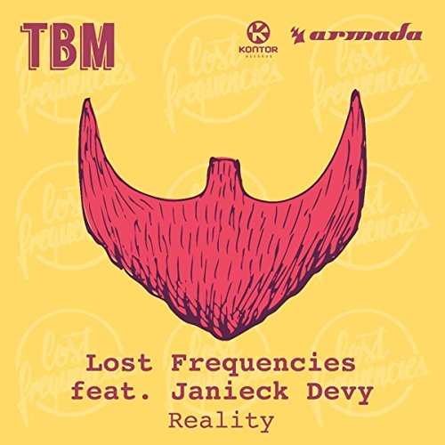 Lost Frequencies - Reality (Deluxe Mix ft Janieck Devy) Lyrics - Zortam Music