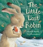 The little lost robin