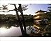 Photographic Prints of Japan, Kyoto, Kinkaku-ji Temple from AWL Discover Images