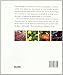 Verduras y hortalizas (Blume jardinería) (Spanish Edition)