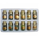 Semi Precious Gemstone Rock Collection Kit of 12 Bottles