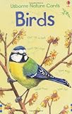 Cover of Birds by Susanna Davidson Jenny Cooper 1409509486