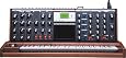 MINIMOOG VOYAGER Performer Edition