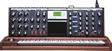 MINIMOOG VOYAGER Performer Edition