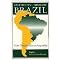learn about social inequalities in Brazil