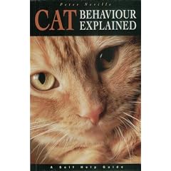 Cat Behaviour Explained