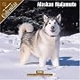 Alaskan Malamute 2008 Wall Calendar