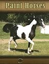 Paint Horses (Eye to Eye With Horses)