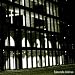 Anklicken zum Vergrößeren: Bakterielle Infektion - Cities of Glass (Audio CD)