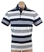 Tommy Hilfiger Men Logo Striped Polo T-shirt (L, Navy/white)