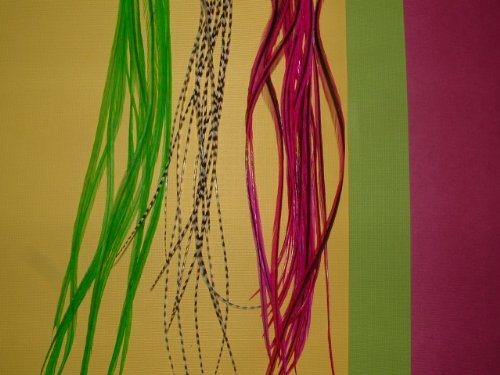 feather hair extensions kit. 3 Feather Hair Extension