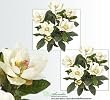 TWO 2' Magnolia Artificial Silk Flower Bushes (Cream) for Home, Garden and Decoration